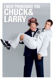 I Now Pronounce You Chuck & Larry 2007 one on netflix