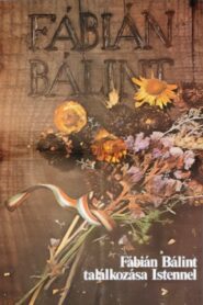 Bálint Fábián Meets God 1980 one on netflix