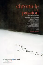 Chronicle of a Passion 2016 one on netflix