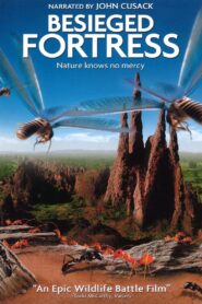 The Besieged Fortress 2006 one on netflix