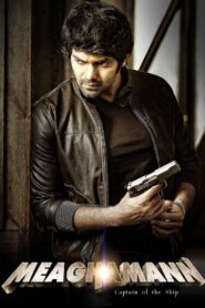 Meaghamann 2014 one on netflix