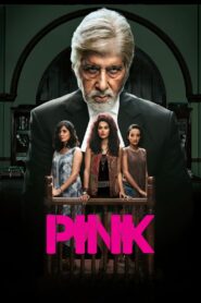 Pink 2016 one on netflix