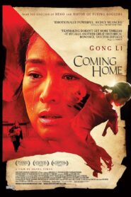 Coming Home 2014 one on netflix