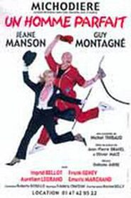 Un homme parfait 2003 one on netflix