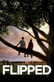 Flipped 2010 one on netflix