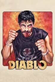 Diablo 2012 one on netflix