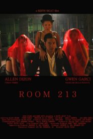 Room 213 2008 one on netflix