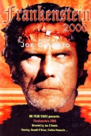 Return from Death: Frankenstein 2000 1991 one on netflix