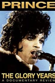 Prince – The Glory Years 2008 one on netflix
