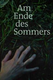 Am Ende des Sommers 2015 one on netflix