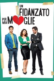 Un fidanzato per mia moglie 2014 one on netflix