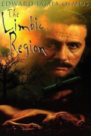 The Limbic Region 1996 one on netflix