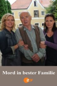 Mord in bester Familie 2011 one on netflix