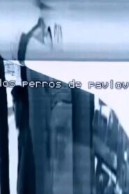 Los perros de Pavlov 2003 one on netflix