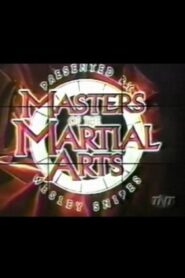 Masters of the Martial Arts Presented by Wesley Snipes 1998 one on netflix