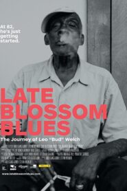 Late Blossom Blues 2017 one on netflix