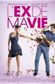 Divorce French Style 2014 one on netflix