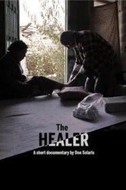 The Healer 2015 one on netflix