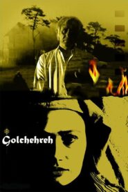 Golchehreh 2011 one on netflix