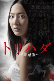Torihada: The Movie 2012 one on netflix