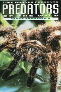 Predators of the Wild: Giant Tarantula 1993 one on netflix
