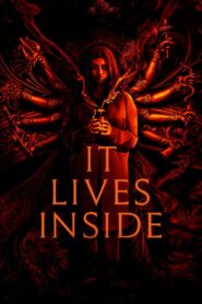 It Lives Inside 2023 one on netflix