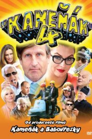 Bad Joke 4 2013 one on netflix