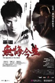The Sparkle in the Dark 2007 one on netflix