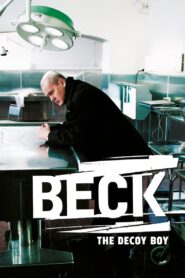 Beck 01 – The Decoy Boy 1997 one on netflix