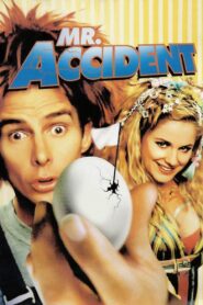 Mr. Accident 2000 one on netflix