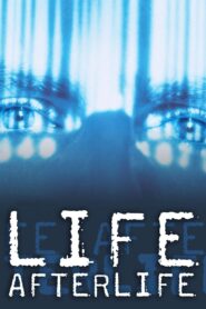 America Undercover: Life Afterlife 2000 one on netflix