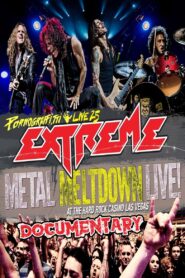 Extreme: Pornograffitti Live 25 Documentary 2016 one on netflix