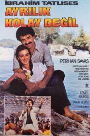 Ayrılık Kolay Değil 1980 one on netflix