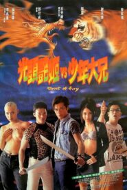 Street of Fury 1996 one on netflix