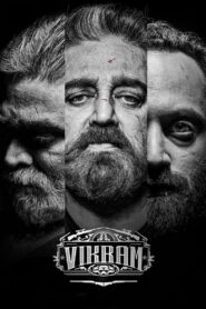 Vikram 2022 one on netflix