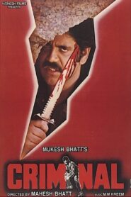 Criminal 1995 one on netflix
