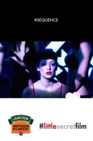 #Sequence 2013 one on netflix