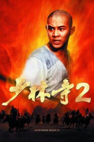 Kids from Shaolin 1984 one on netflix