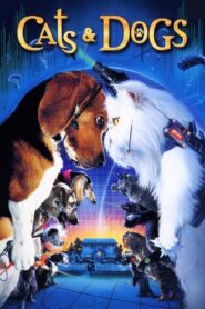 Cats & Dogs 2001 one on netflix
