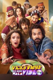 Vicky Vidya Ka Woh Wala Video 2024 one on netflix