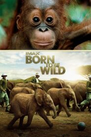 Born to Be Wild 2011 one on netflix