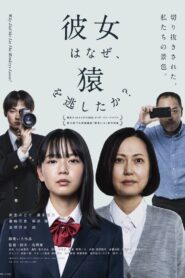 Why Did She Let the Monkeys Loose? 2024 one on netflix