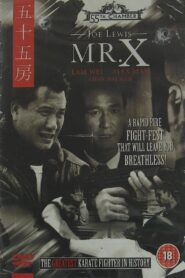 Mr. X 1995 one on netflix