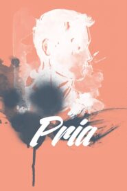 Pria 2017 one on netflix