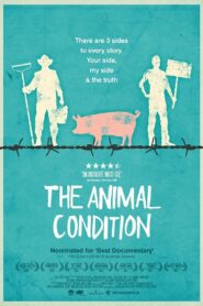 The Animal Condition 2014 one on netflix