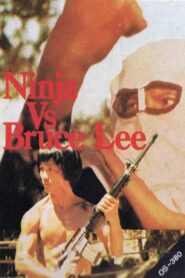 Ninja vs. Bruce Lee 1982 one on netflix