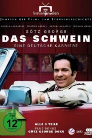 Das Schwein – Eine deutsche Karriere 1995 one on netflix