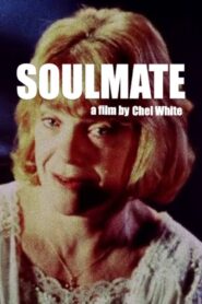 Soulmate 2000 one on netflix