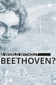 A World Without Beethoven? 2020 one on netflix
