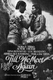 Till We Meet Again 1985 one on netflix